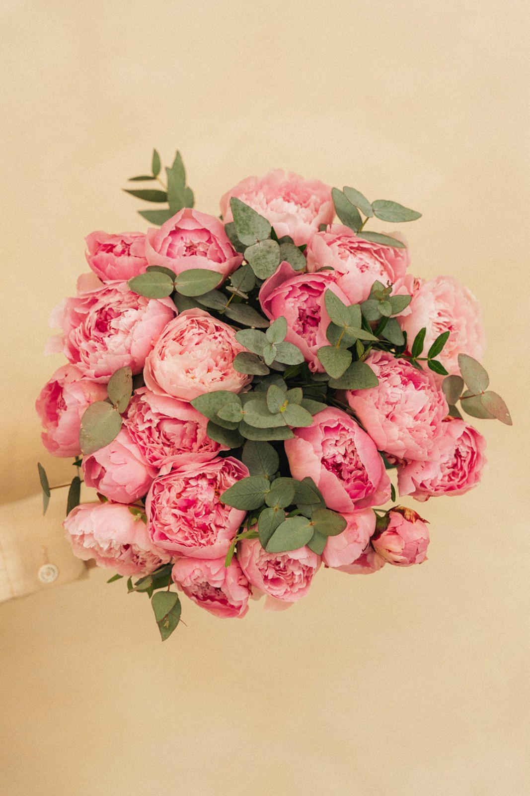 Un bouquet de pivoines roses, bordé de feuillage vert, est tenu par une main, sur un fond beige.