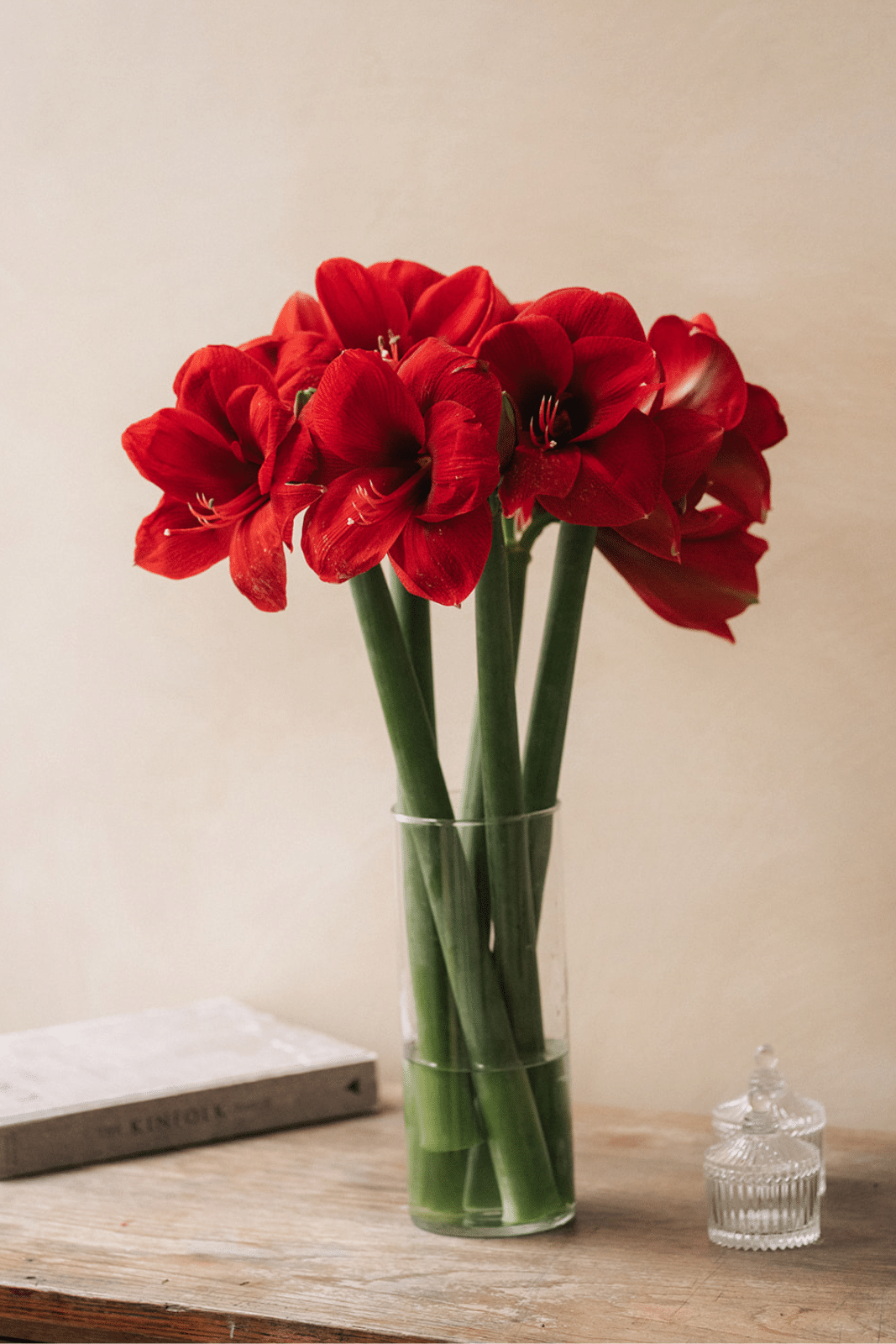 Un vase contenant des amaryllis rouges posées sur une table en bois avec un livre intitulé